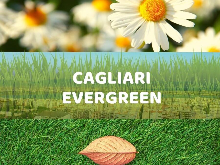 Cagliari Evergreen